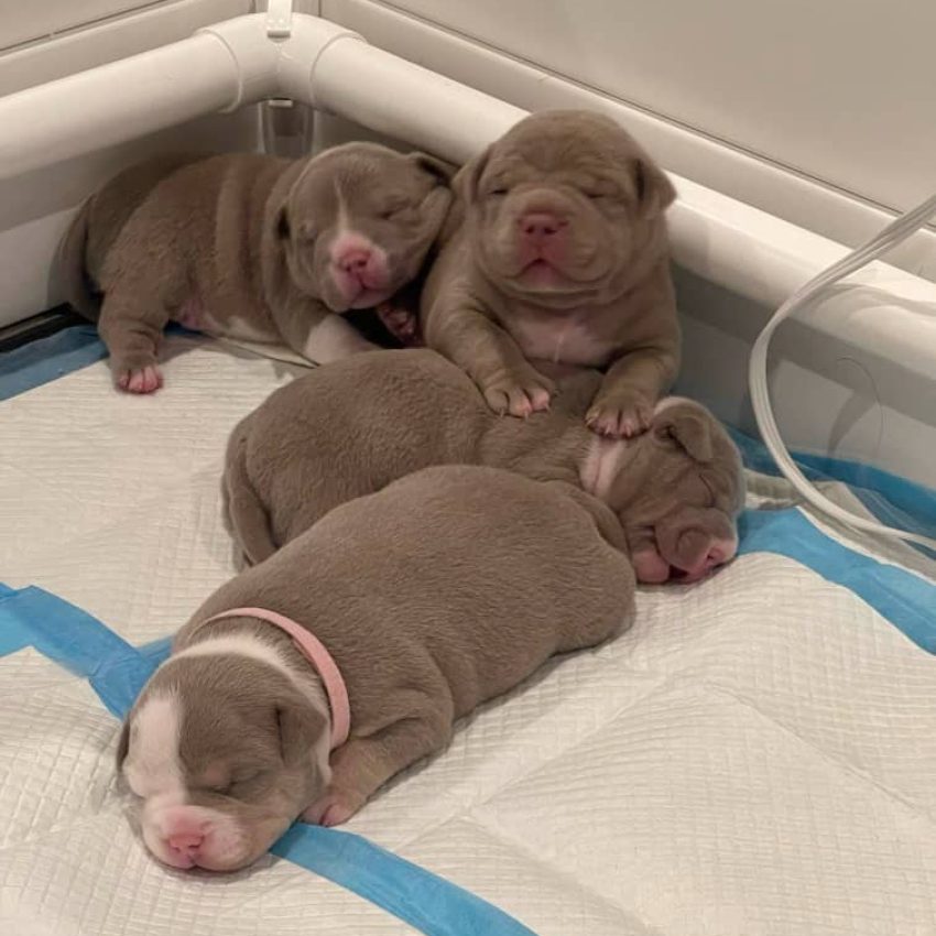 WhatsApp Image 2025-04-09 at 6.57.42 PM (1)