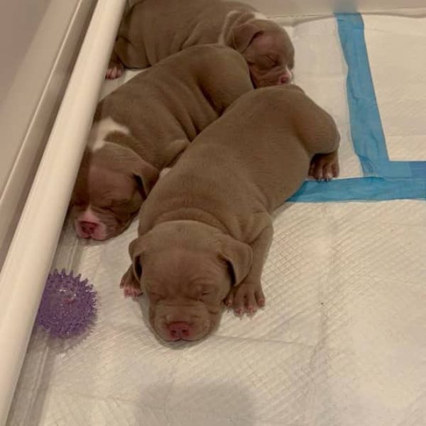 WhatsApp Image 2025-04-09 at 6.57.42 PM